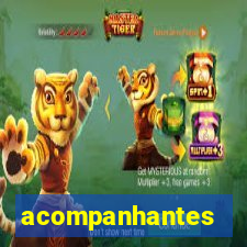 acompanhantes chamadas de video